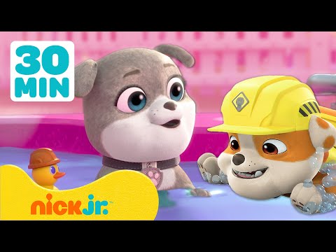 PAW Patrol |