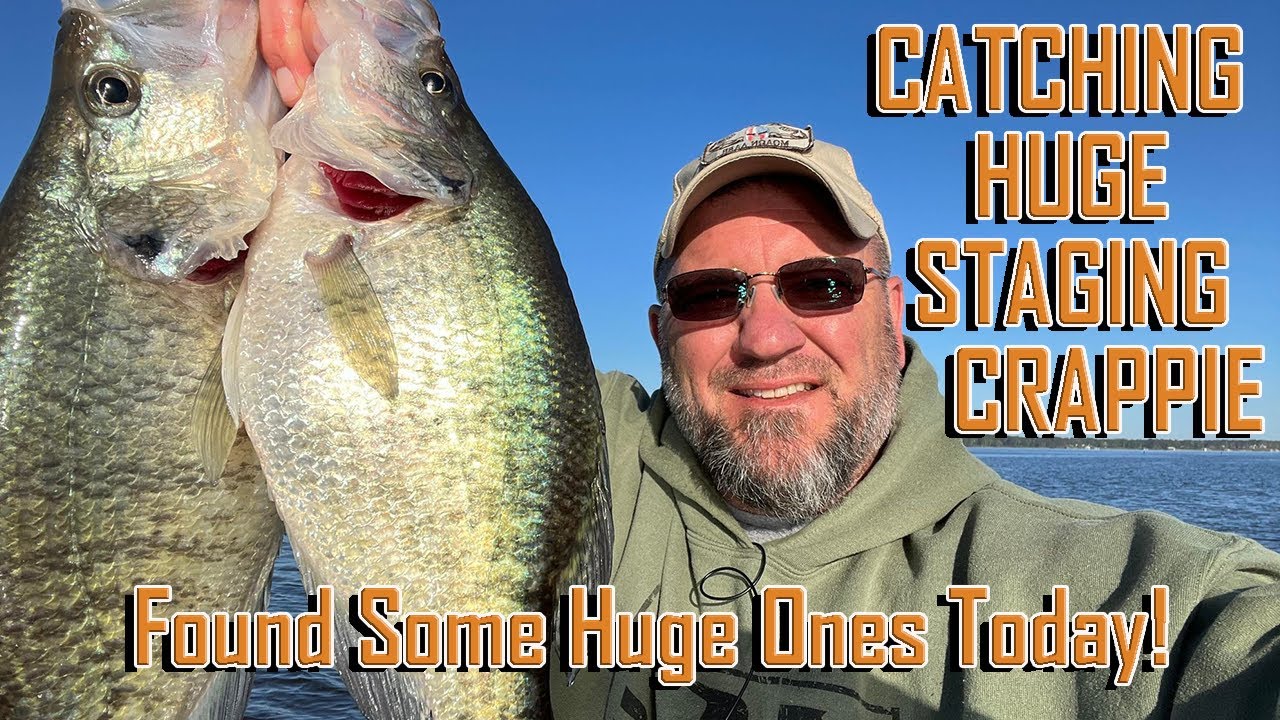 CATCHING HUGE STAGING CRAPPING, Ready For The Spawn, EP 2323 - YouTube
