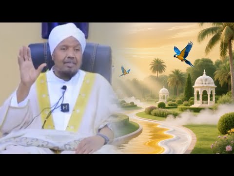 Nolosha Janada Sheekh Cabdirashid Sh Cali Suufi 2025