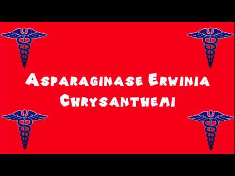 Pronounce Medical Words ― Asparaginase Erwinia Chrysanthemi