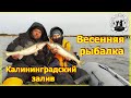 Рыбалка на Калининградском заливе  Судак, окунь