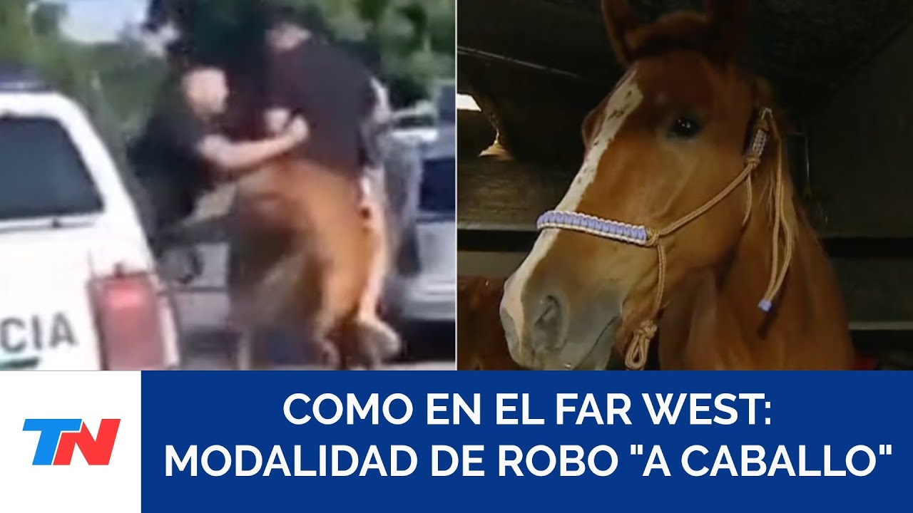 INSEGURIDAD EN QUILMES: Robaban a caballo y fueron capturados en una impactante persecución policial