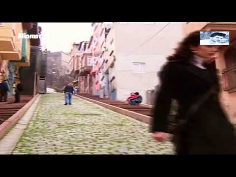 اجمل حالات واتساب دموع الورد لقاء نرمين مع عمار كوسوفي 2020