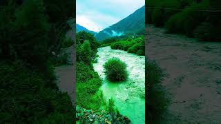 Guli mata | Saad Lamjarred | shreya goshal |kashmir | pahalgam | shorts #beautiful #shorts #status