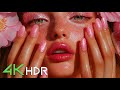 Colors in Dolby Vision HDR 4K 60FPS (4K Video)