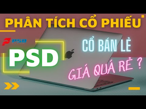 Phân tích cổ phiếu PSD - Cổ bán lẻ, định giá rẻ?