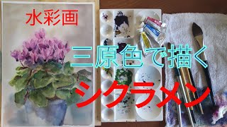 【水彩静物画】三原色で描くシクラメン