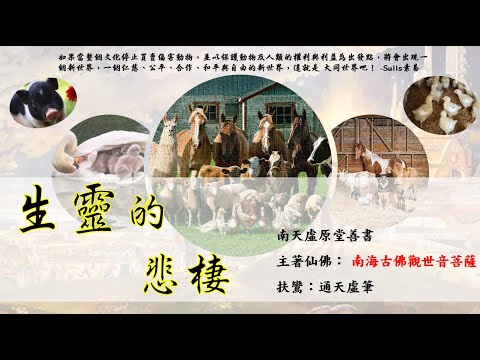 國語有聲善書【生靈的悲悽】南海觀世音菩薩著 第七、八章 忍心殘殺，惡疾加身、殺業果報，寫經釋冤 (累世殺業 今生以善消之）