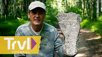 Looking for Evidence of Bigfoot in Alaska | The Alaska Triangle | Travel Channel