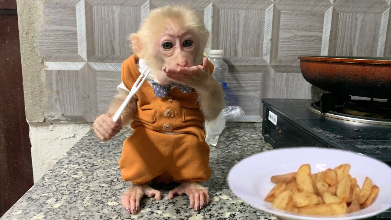 Monkey LiA is excited when her mother makes sweet - YouTube