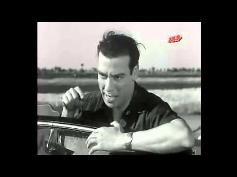شي يا حماري