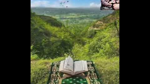 القارئ نور الدين سليم| سورة المرسلات