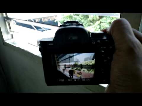 Samyang 14mm FE F2.8 Auto Focus Speed Test with Sony A7