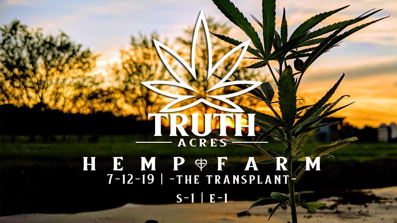 DAY 1 | THE TRANSPLANT | Truth Acres Hemp Farm | S1-E1
