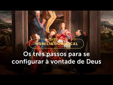Sunday Homily | Three steps to conform to God's will (27th Sunday in Ordinary Time, Year A)