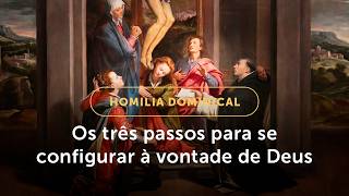 Homilia Dominical | Três passos para se configurar à vontade de Deus (27º Dom. Tempo Comum, Ano A)