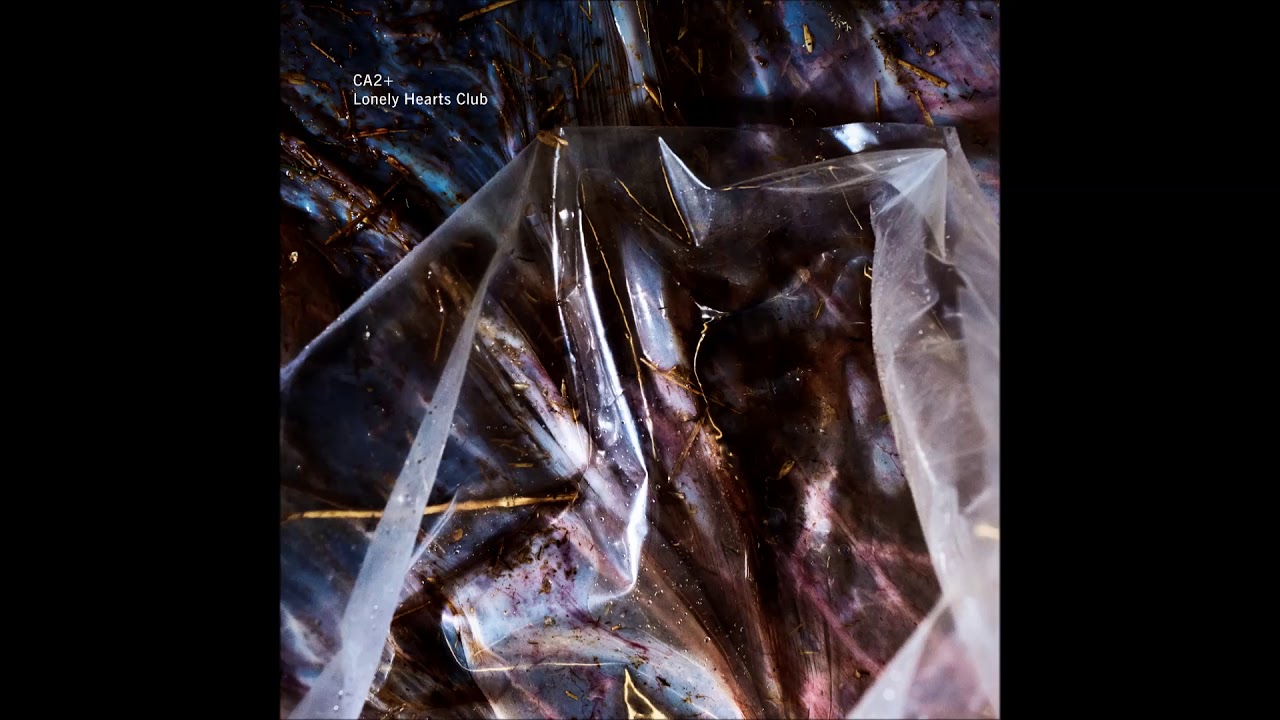 CA2+  –  Prophylaxis [NE60]