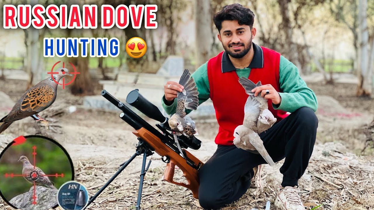 RUSSIAN DOVE HUNTING WITH P35xGUN/ FAKHTA KA SHIKAR