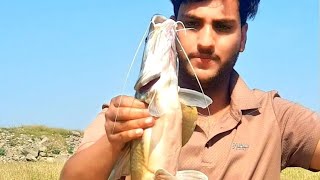 #fish#throw #mangla #fishing #fisherman #bigfish #fisherman # mangla dam ka shikar