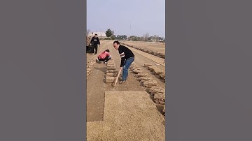 The process of digging turf with a steel shovel