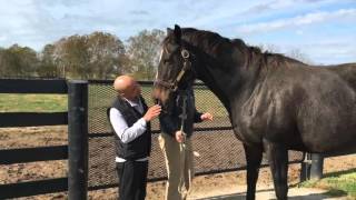 Mike Smith Visits Zenyatta