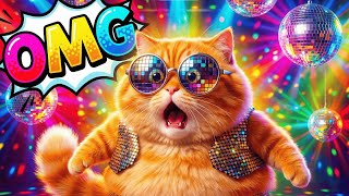 Chubby Cat Dance Song Funny Kids Dance Along Video Wiggle Wiggle
