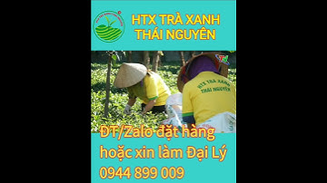 Chè Thái Nguyên | Mời bạn làm Đại lý cấp 1 ngay |#shorts