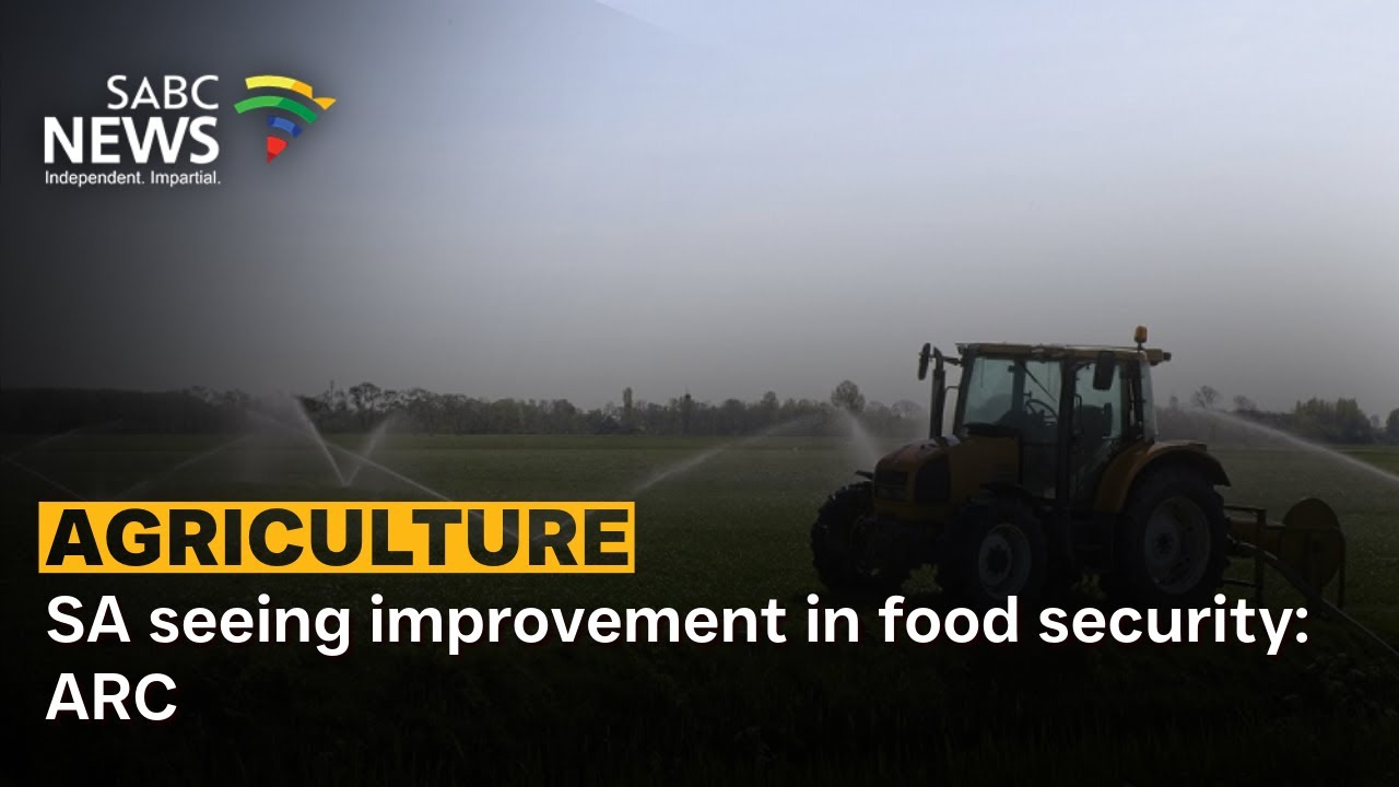 SA seeing improvement in food security: ARC