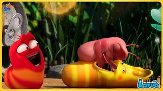 LARVA FULL EPISODE NEW VERSION | CARTOON BOX 452 | BY SMTOON ASIA | HILARIOUS CARTOONS