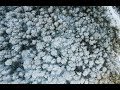 No Copyright Sound Scott Buckley Snowfall FREE USE MUSIC Piano Ambient Soundtrack 