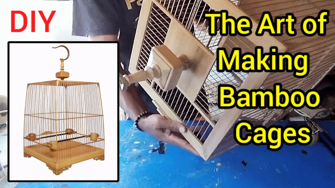 The Process of Making an Artistic Birdcage (DIY Bamboo Cage)
