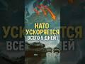 ⚡️ НАТО ГОТОВИТ СЮРПРИЗ: ВОЙСКА У ГРАНИЦ УКРАИНЫ ЗА 5 ДНЕЙ?
