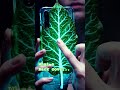 ෆෝන් එකේ බැක් කවර් එකනම් පිස්සුවක් 😮😮 #smartphone #2026 #tech #technology #trending #viral #shorts