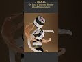Day 11 of my 100 Days of Learning Blender