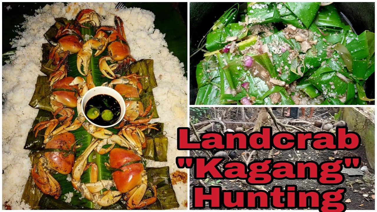 Landcrab Hunting"Cagang" Part2