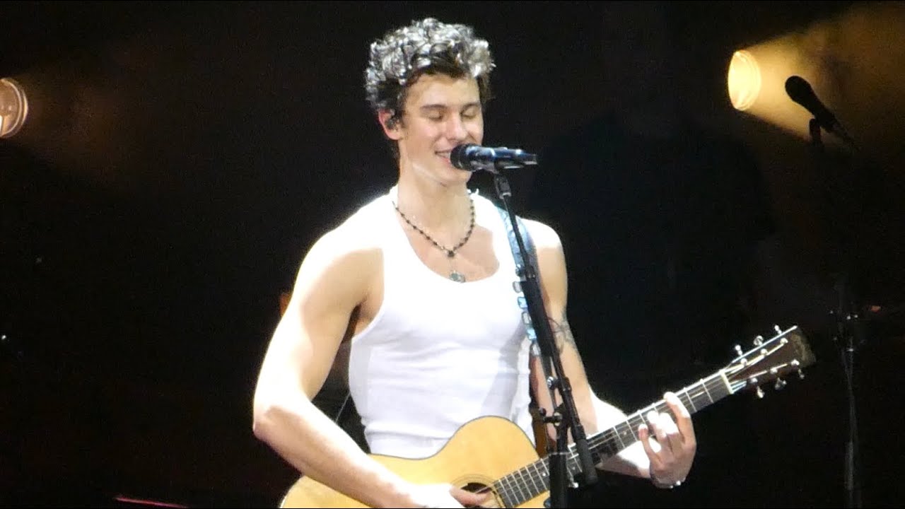 Shawn Mendes - Fallin' All in You (Live in Manila, 2019)