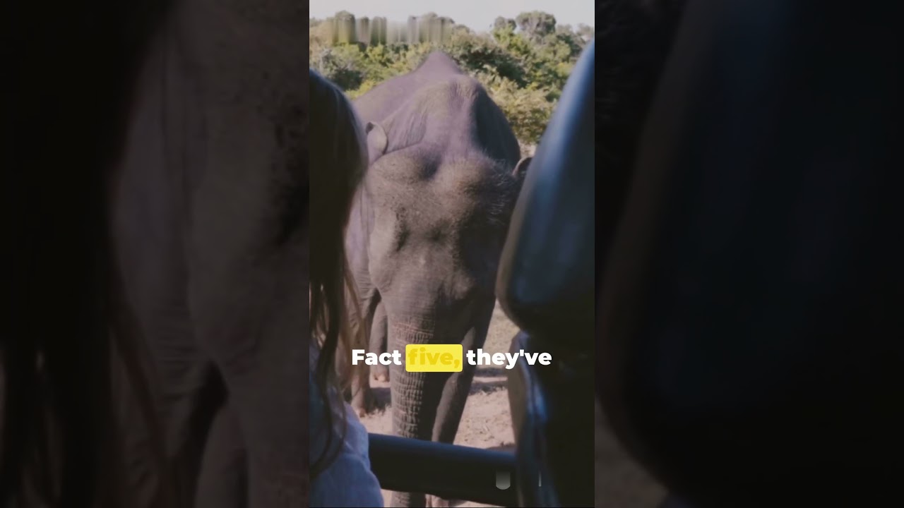 "Discover the secrets and oddities of the world of minds in 10 amazing facts 