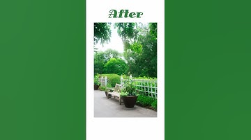 Garden Bench Photo Before and After Editing