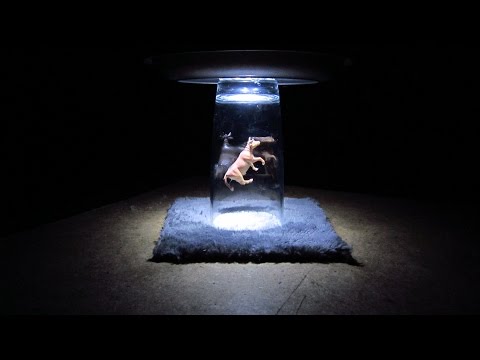 Прикольный ночник в виде НЛО