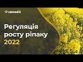 РЕГУЛЯЦІЯ РОСТУ РІПАКУ 2022.  КАРАМБА, МЕДАКС, ТЕБУКОНАЗОЛ ЧИМ ЗАМІНИТИ?