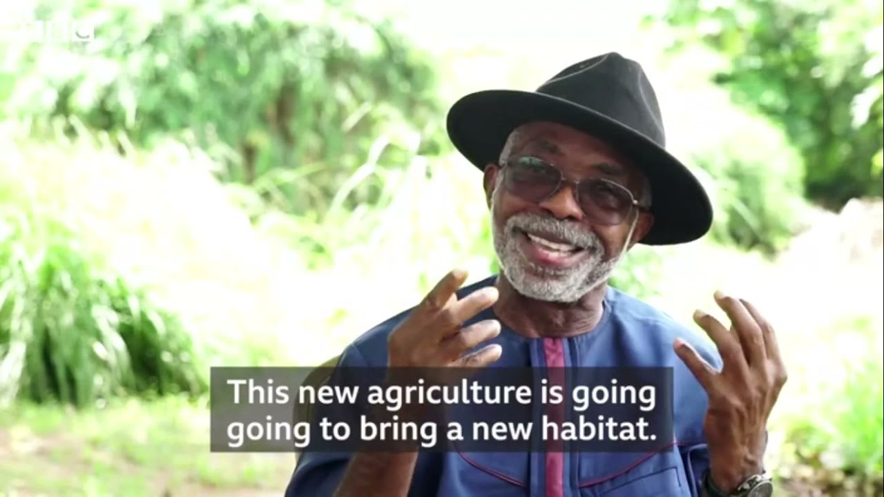 Still from Songhaï: A 'zero waste' agricultural system to increase food security in Africa