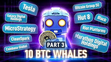 Meet Bitcoin’s Biggest Whales: $15B and Counting! 🐋💰 Part 3