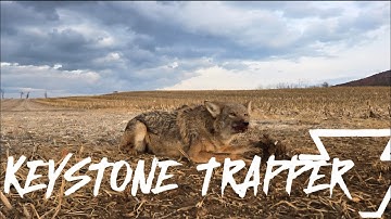 25-26 Vangseizoen, Aflevering 7. Coyotes op pad.