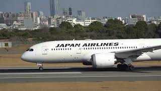 【伊丹空港】Osaka Airport✈ PlaneSpotting.2024/01/12