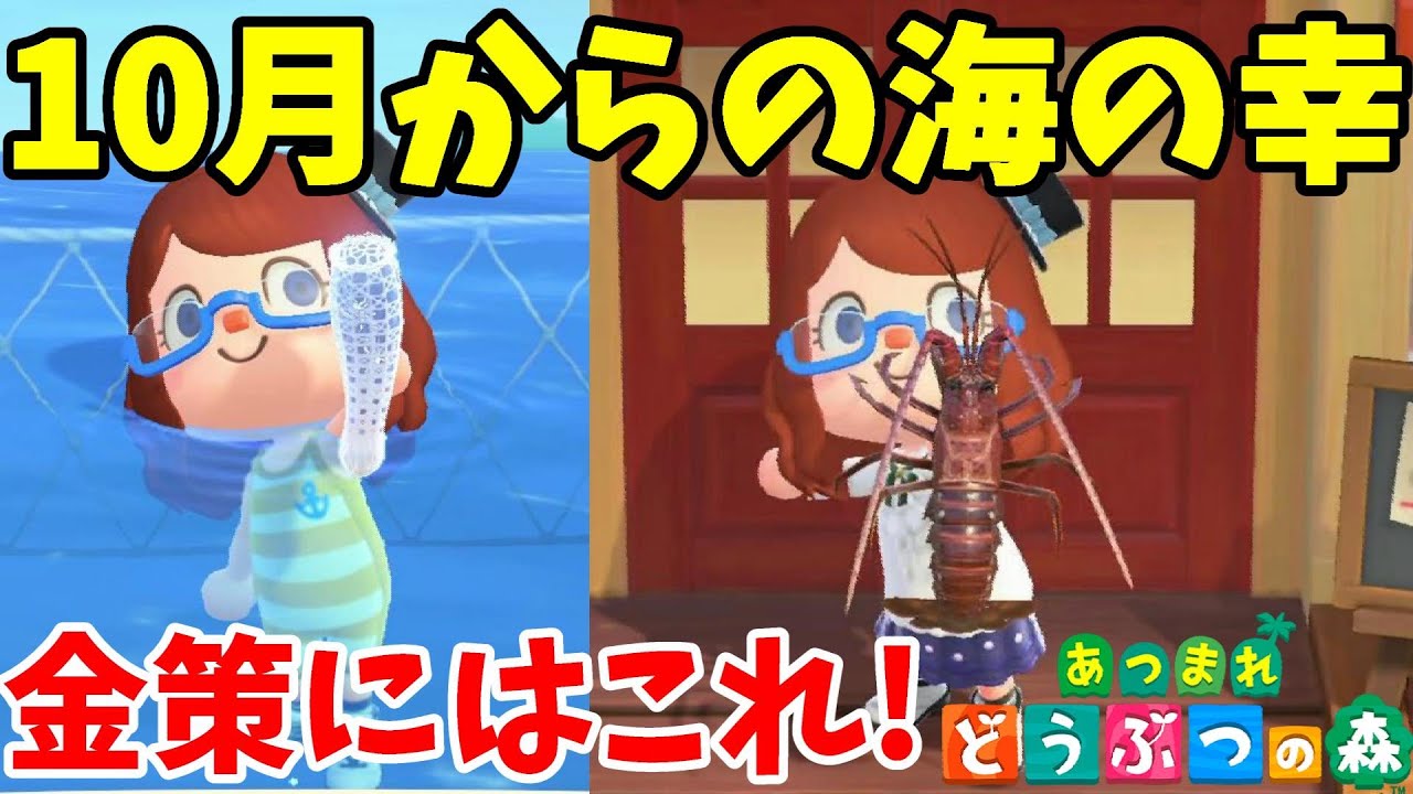 あつ森 10月から出現する海の幸はコレ 金策狙いはイセエビ あつまれどうぶつの森 Youtube あつ森 10月から出現する海の幸はコレ 金策狙いはイセエビ あつまれどうぶつの森 Youtube