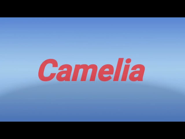 Lirik Lagu Dangdut Camelia class=