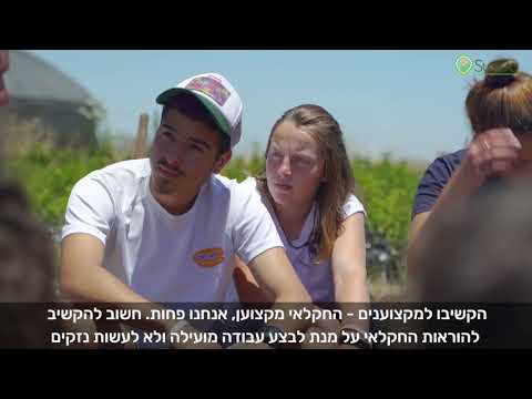 סאנדו - מתנדבים