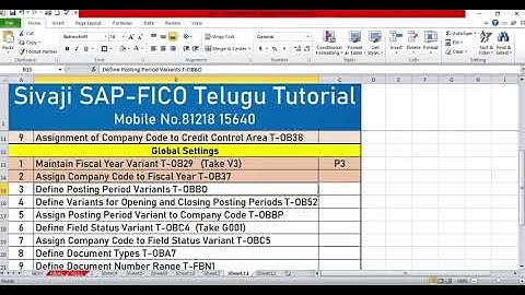 Define Posting Period Variants T OBBO