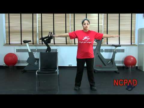physical activity pyramid Standing Arm Circles, One Leg