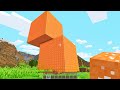 Every Block Placed MULTIPLIES In Minecraft!